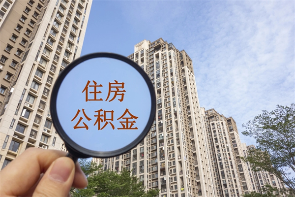 厦门提取公积金正规中介（提取公积金 正规中介）